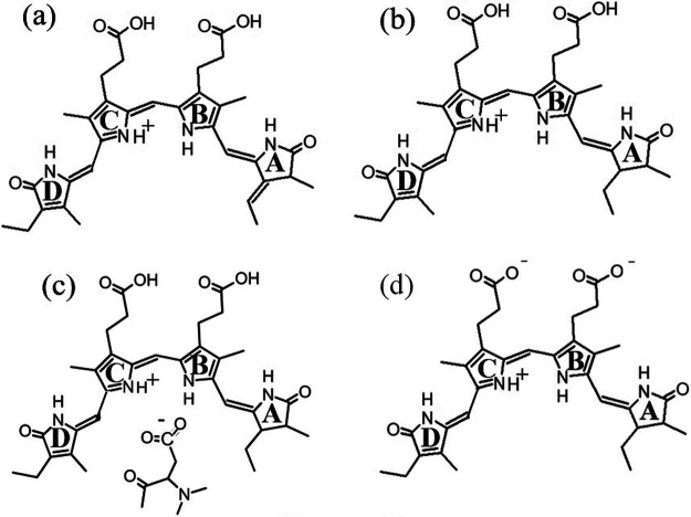 Estimation of the relative contributions to the electronic energy transfer rates based on Förster theory: The case of C-phycocyanin chromophores.