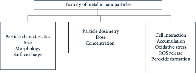 Toxicity of Nanoparticles in Biomedical Application: Nanotoxicology.