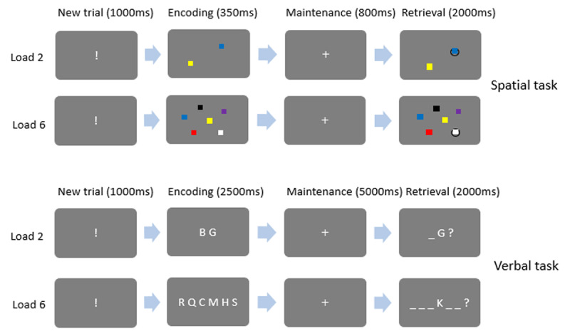 Transcranial Direct Current Stimulation (tDCS) over the Intraparietal Sulcus Does Not Influence Working Memory Performance.