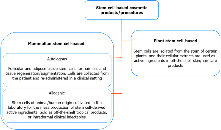 Stem cells and the pursuit of youth, a tale of limitless possibilities and commercial fraud.