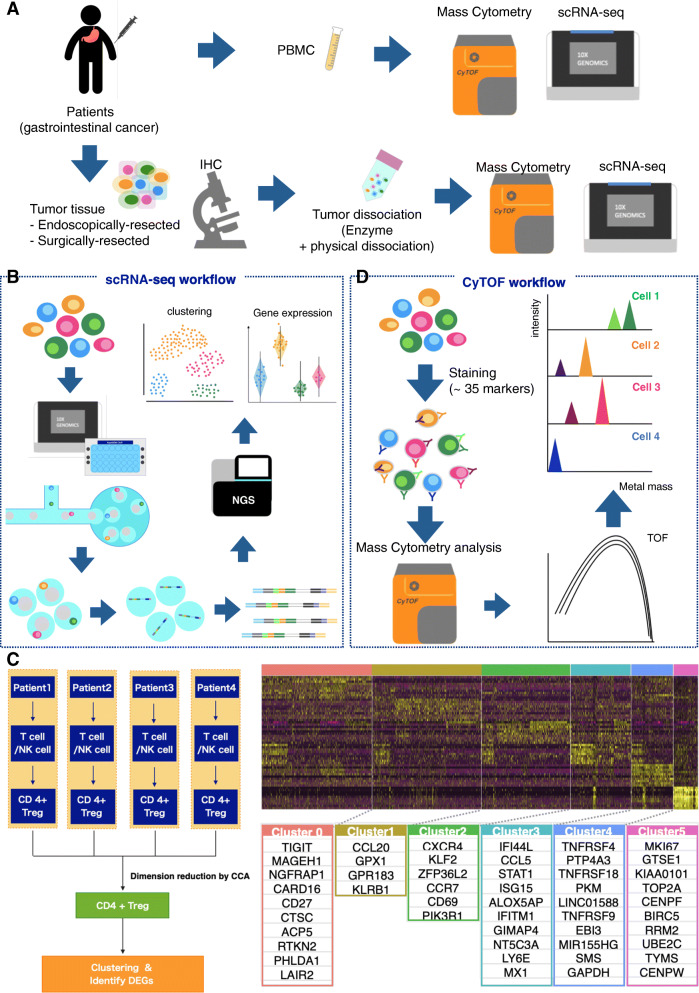 Single-cell and spatial analyses of cancer cells: toward elucidating the molecular mechanisms of clonal evolution and drug resistance acquisition.