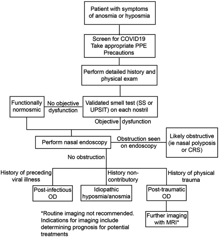 Diagnosis of Anosmia and Hyposmia: A Systematic Review.