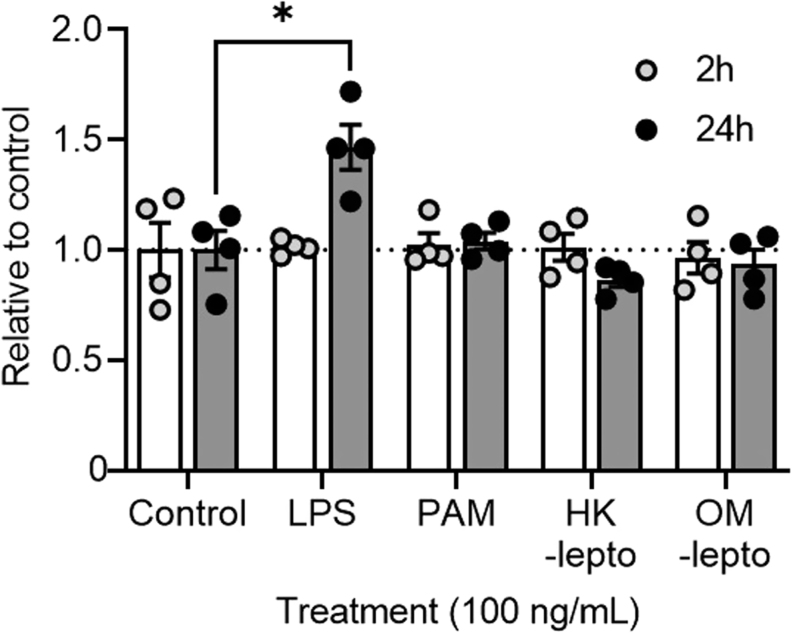 Bovine endometrial cells do not mount an inflammatory response to <i>Leptospira</i>.