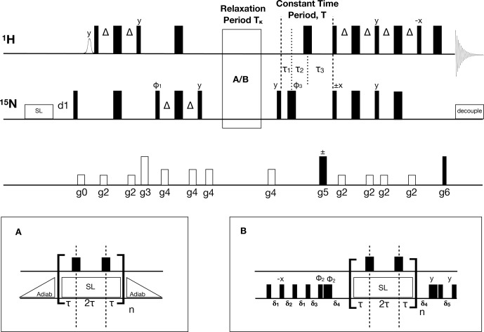 Rapid measurement of heteronuclear transverse relaxation rates using non-uniformly sampled <i>R</i><sub>1<i>ρ</i></sub> accordion experiments.