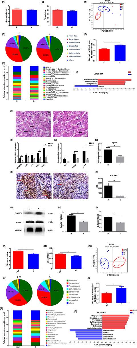 Caecal microbiota could effectively increase chicken growth performance by regulating fat metabolism