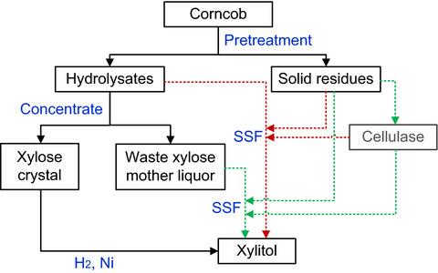 Production of xylitol by Saccharomyces cerevisiae using waste xylose mother liquor and corncob residues