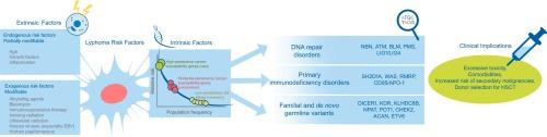 Genetic predisposition to lymphomas: Overview of rare syndromes and inherited familial variants