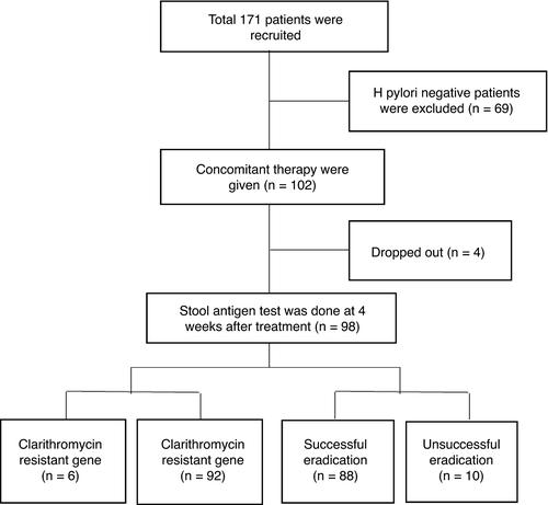 Molecular detection of genotypic clarithromycin-resistant strains and its effect on the eradication rate of concomitant therapy in Helicobacter pylori infection