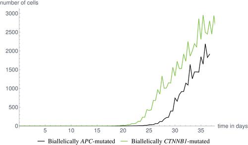 A computational model for investigating the evolution of colonic crypts during Lynch syndrome carcinogenesis