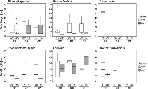 Water level induced changes of habitat quality determine fish community composition in restored and modified riverbanks of a large alpine river