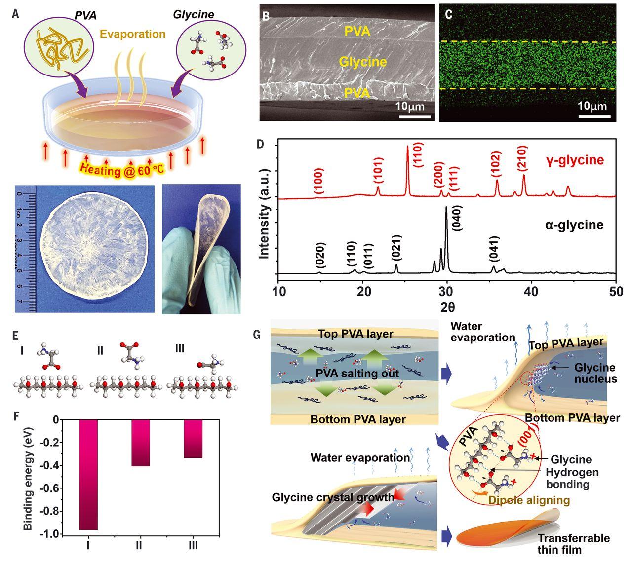 Wafer-scale heterostructured piezoelectric bio-organic thin films