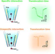 Nanopore-based measurement of the interaction of P450cam monooxygenase and putidaredoxin at the single-molecule level†