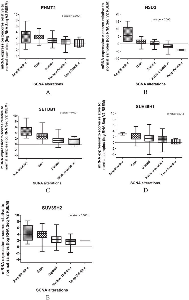 Histone Methyltransferases Useful in Gastric Cancer Research.