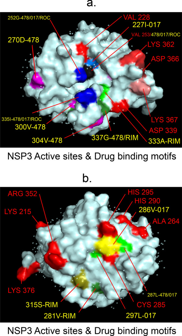 Predicted antiviral drugs Darunavir, Amprenavir, Rimantadine and Saquinavir can potentially bind to neutralize SARS-CoV-2 conserved proteins.