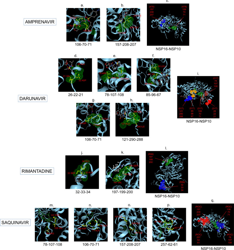 Predicted antiviral drugs Darunavir, Amprenavir, Rimantadine and Saquinavir can potentially bind to neutralize SARS-CoV-2 conserved proteins.