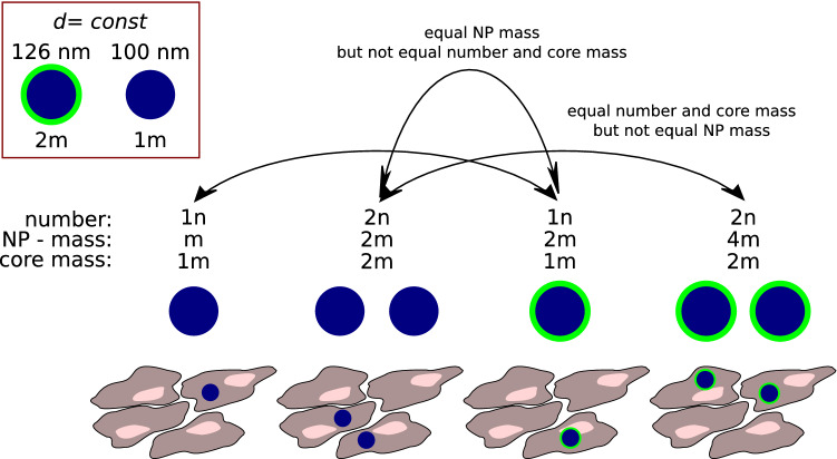 Should Nano-Particles be Weighed or Counted? Technical Considerations to In Vitro Testing Originated from Corpuscular Nature of Nano-Particles