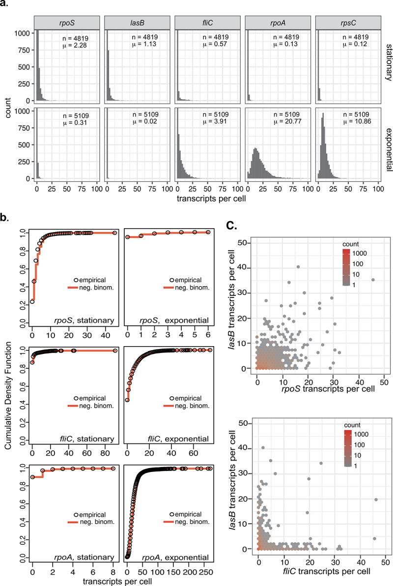 Bacterial transcription during growth arrest.