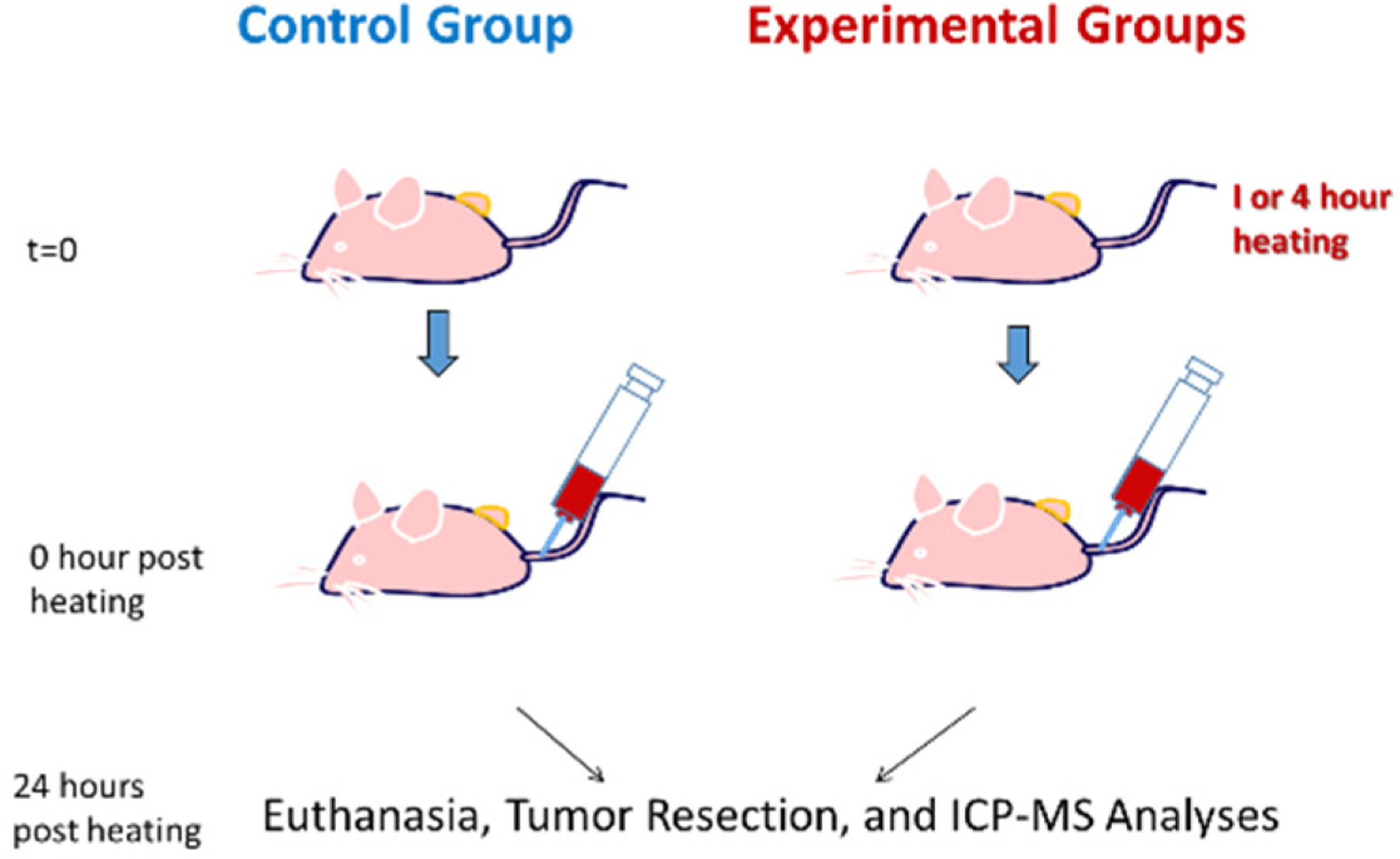 Nanoparticle Delivery in Prostate Tumors Implanted in Mice Facilitated by Either Local or Whole-Body Heating.