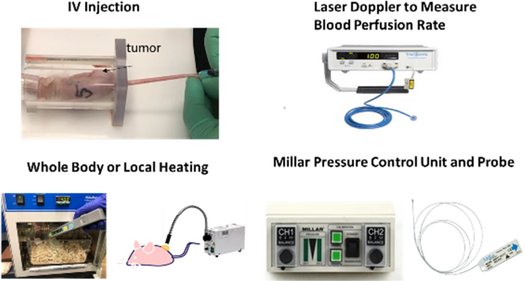 Nanoparticle Delivery in Prostate Tumors Implanted in Mice Facilitated by Either Local or Whole-Body Heating.