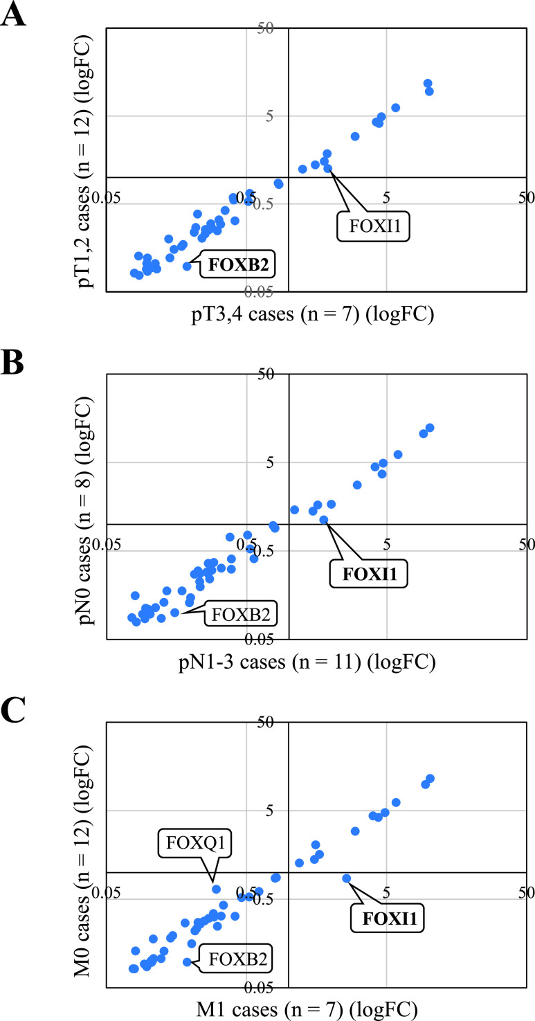 Forkhead Box I1 in Breast Carcinoma as a Potent Prognostic Factor.