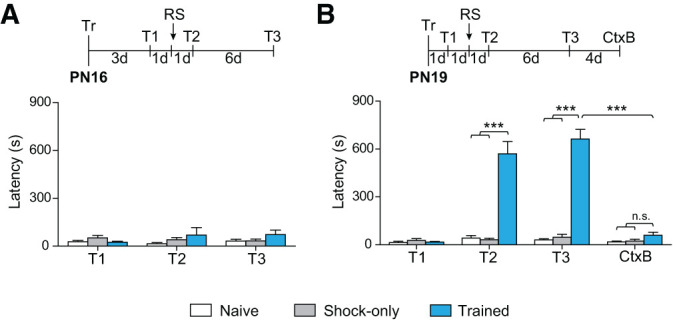 Recovery of memory from infantile amnesia is developmentally constrained.