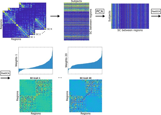 A Structural Connectivity Disruption One Decade before the Typical Age for Dementia: A Study in Healthy Subjects with Family History of Alzheimer's Disease.