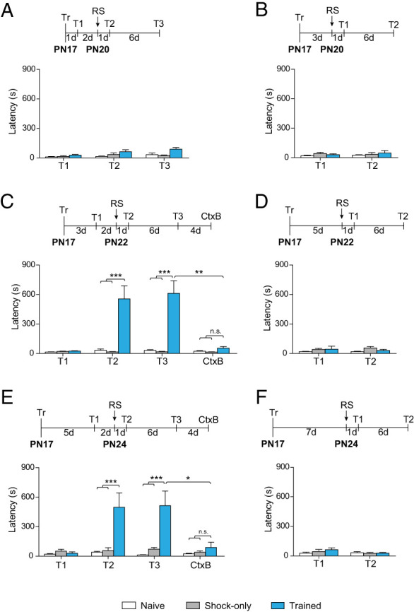 Recovery of memory from infantile amnesia is developmentally constrained.