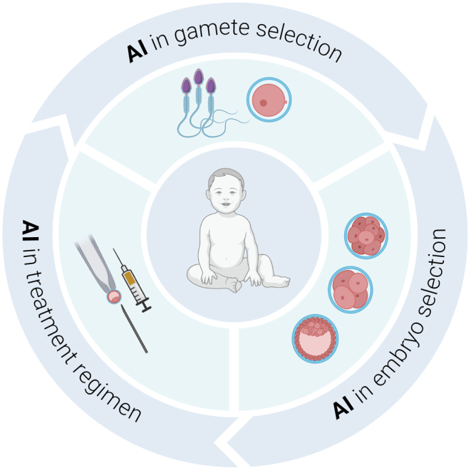 Does artificial intelligence have a role in the IVF clinic?