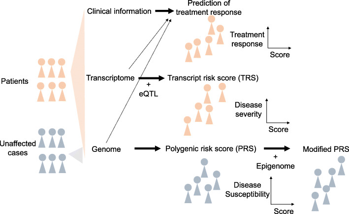 Multi-omics approach to precision medicine for immune-mediated diseases.