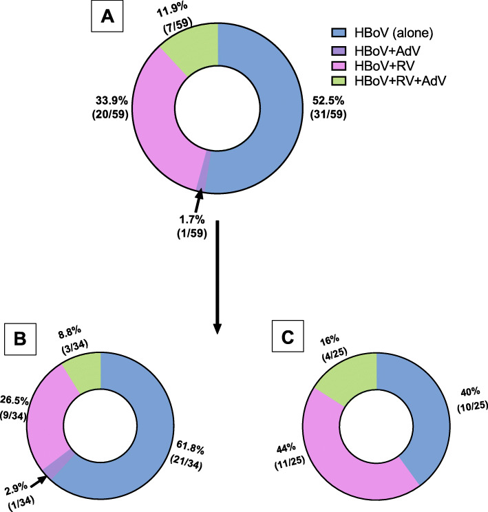 Etiology of diarrheal disease among children under 5 years in Egypt: a high incidence of human bocavirus.