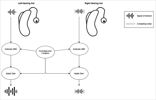 Binaural Signal Processing in Hearing Aids.