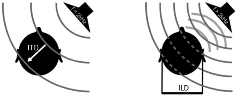 Binaural Signal Processing in Hearing Aids.