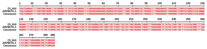 Molecular Identification of Cryptosporidium viatorum Infection in a Patient Suffering from Unusual Cryptosporidiosis in West Bengal, India.