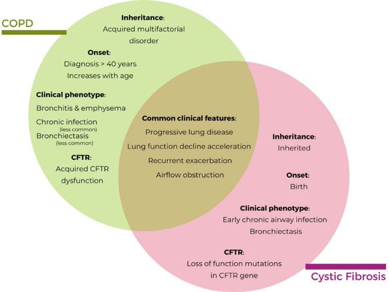 Assessing the impact of exposome on the course of chronic obstructive pulmonary disease and cystc fibrosis: The REMEDIA European Project Approach.