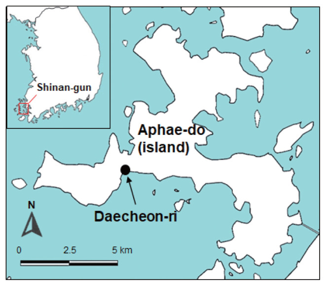 Acanthoparyphium shinanense n. sp. (Digenea: Echinostomatidae) from Experimental Chicks Infected with Metacercariae Encysted in Brackish Water Clams in the Republic of Korea.