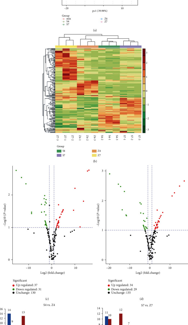 Transcriptome and Metabolome Analysis Unveil Anthocyanin Metabolism in Pink and Red Testa of Peanut (<i>Arachis hypogaea</i> L.).