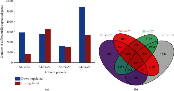 Transcriptome and Metabolome Analysis Unveil Anthocyanin Metabolism in Pink and Red Testa of Peanut (<i>Arachis hypogaea</i> L.).