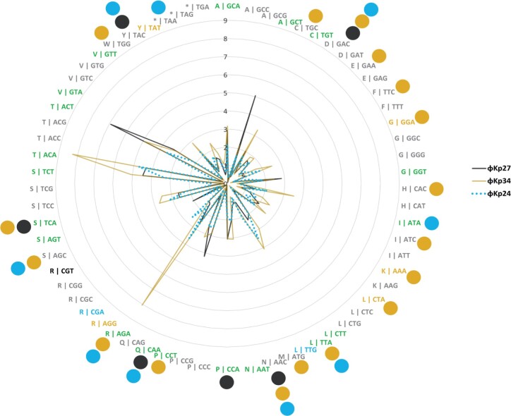 Genomic characterization of four novel bacteriophages infecting the clinical pathogen Klebsiella pneumoniae.