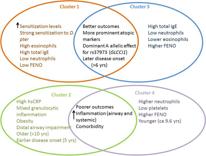 Treatment outcome clustering patterns correspond to discrete asthma phenotypes in children.