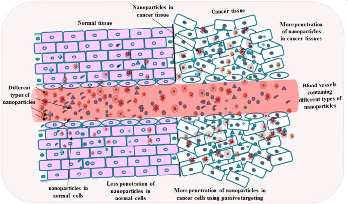 Nano-bio surface interactions, cellular internalisation in cancer cells and e-data portals of nanomaterials: A review.