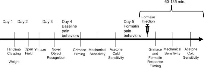 Patterns of cognitive decline and somatosensory processing in a mouse model of amyloid accumulation