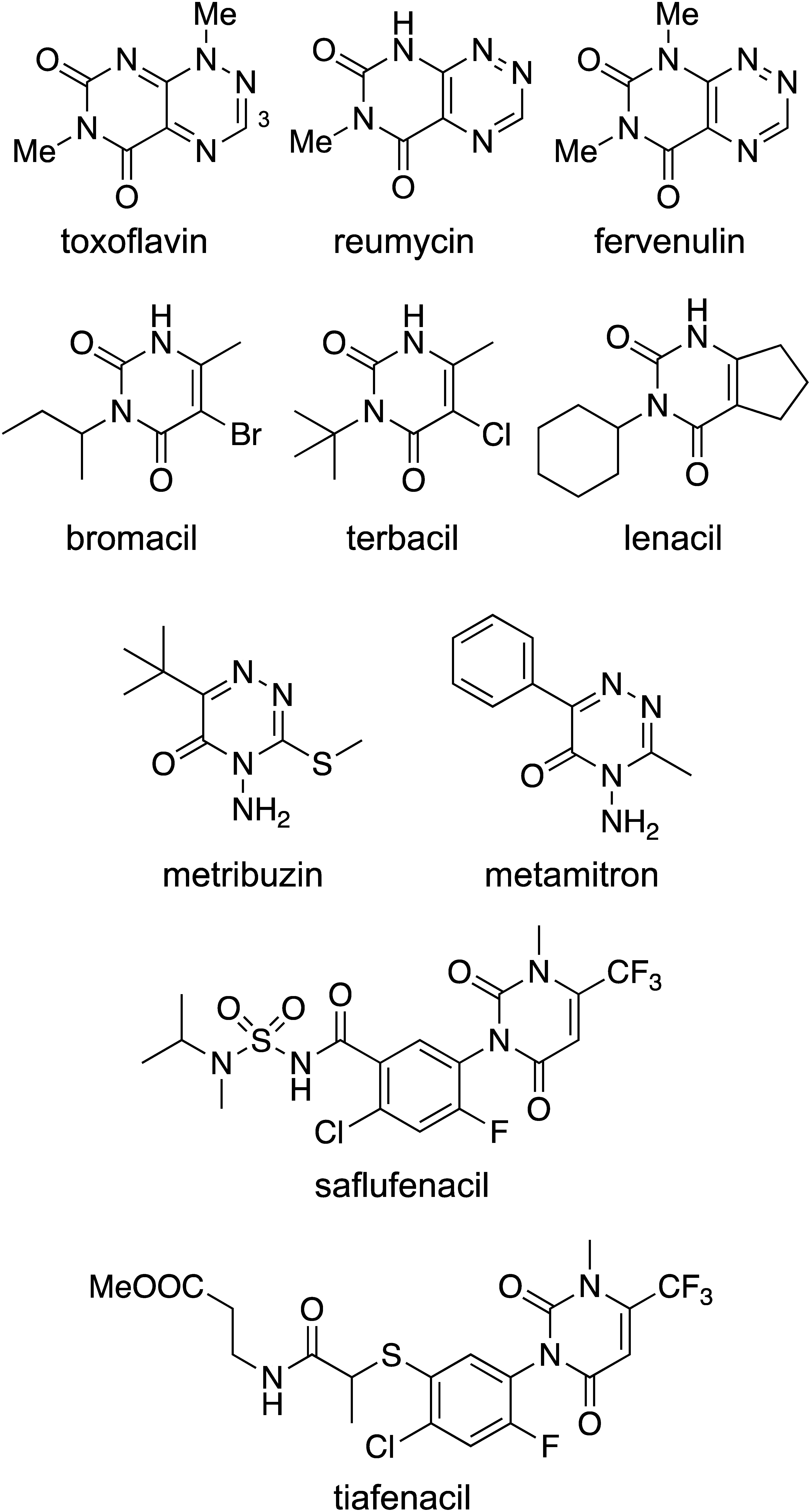 Synthesis and herbicidal activity of 3-substituted toxoflavin analogs.