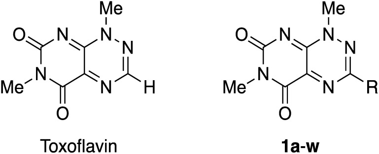 Synthesis and herbicidal activity of 3-substituted toxoflavin analogs.