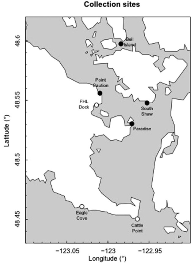 Scaling and Structural Properties of Juvenile Bull Kelp (<i>Nereocystis luetkeana</i>).