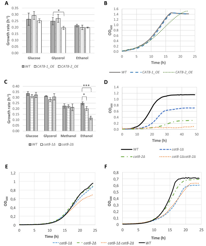 Two homologs of the Cat8 transcription factor are involved in the regulation of ethanol utilization in Komagataella phaffii.