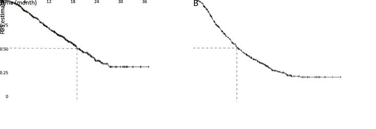 Efficacy and safety of chemotherapy combined with bevacizumab in Chinese patients with metastatic colorectal cancer: A prospective, multicenter, observational, non-interventional phase IV trial.