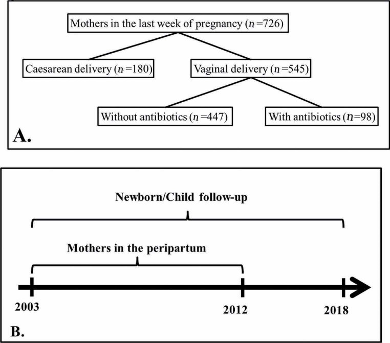 Peripartum Antibiotics Exposure and the Risk of Autoimmune and Autism Disorders in the Offspring.