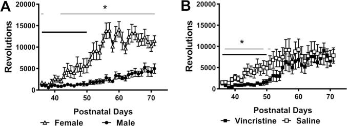 An adolescent rat model of vincristine-induced peripheral neuropathy