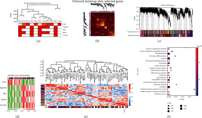 Microglial Activation of GLP-1R Signaling in Neuropathic Pain Promotes Gene Expression Adaption Involved in Inflammatory Responses.