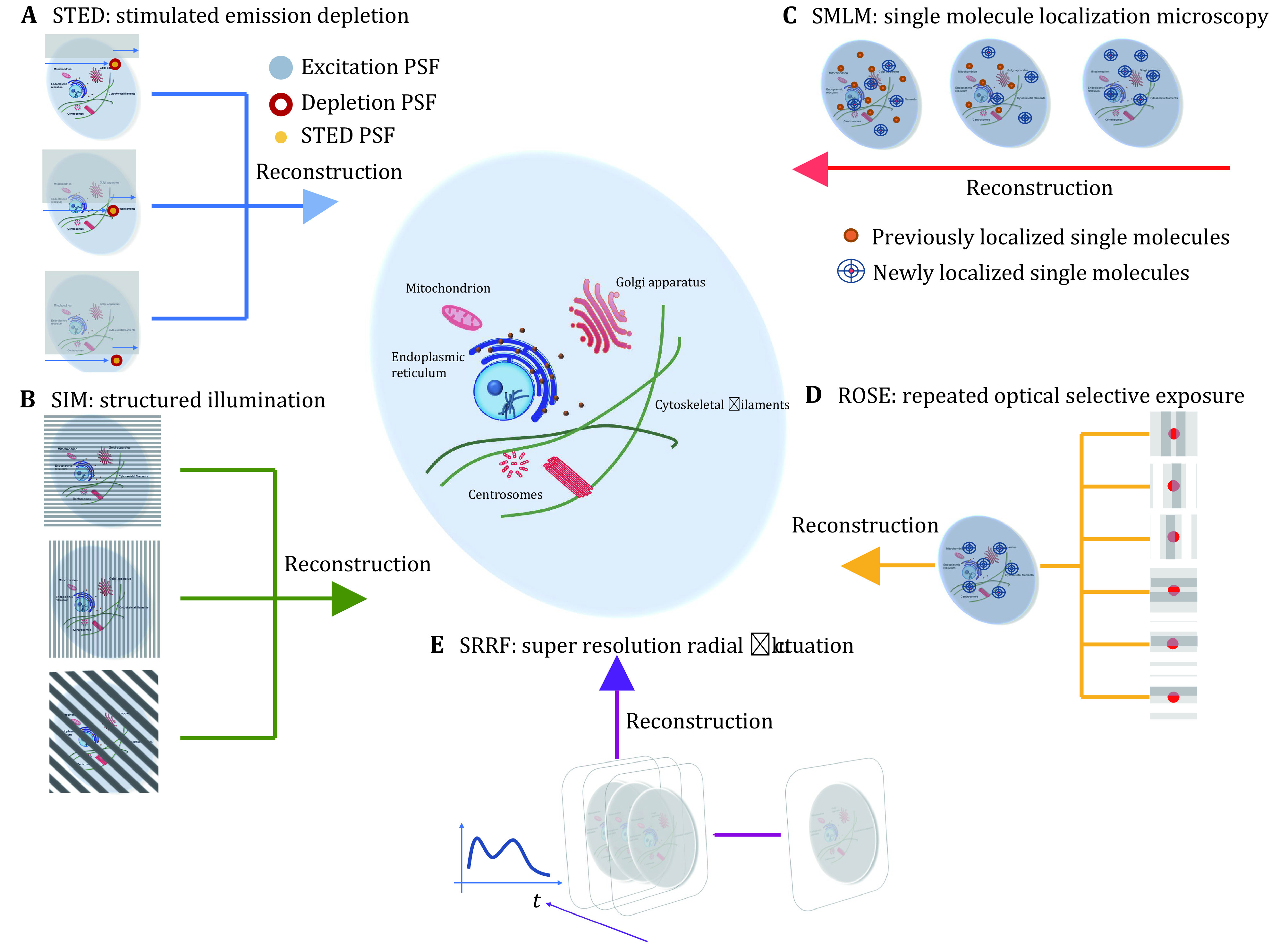 Advancing biological super-resolution microscopy through deep learning: a brief review.